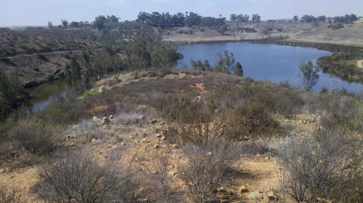Dry coastal-sage scrub and exposed rock on a hillside overlooking Upper Otay Reservoir.