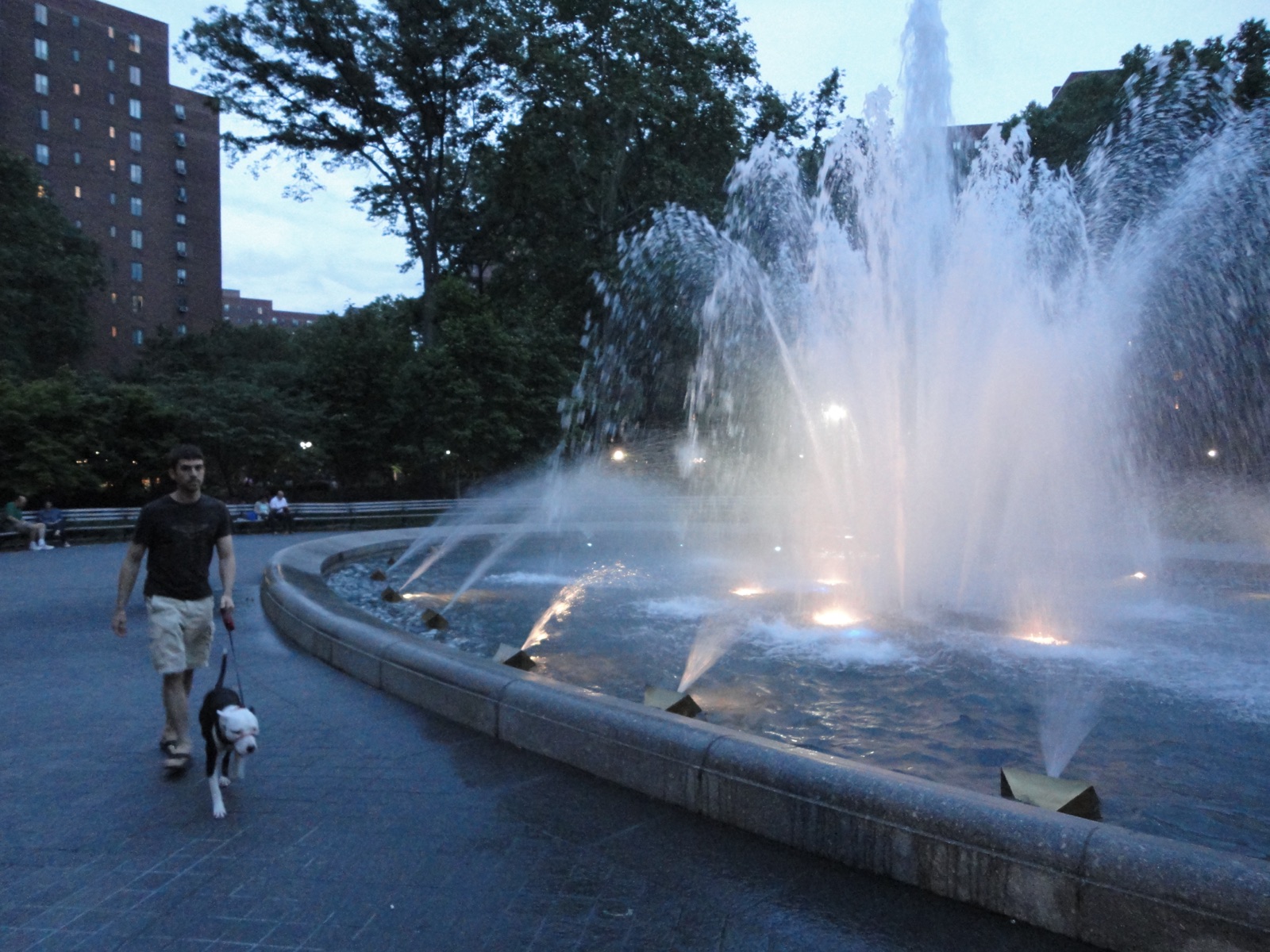 A man walks a dog past an illuminated fountain at dusk in Stuyvesant Oval, water jets lit from below, with a brick apartment tower and trees in the background.