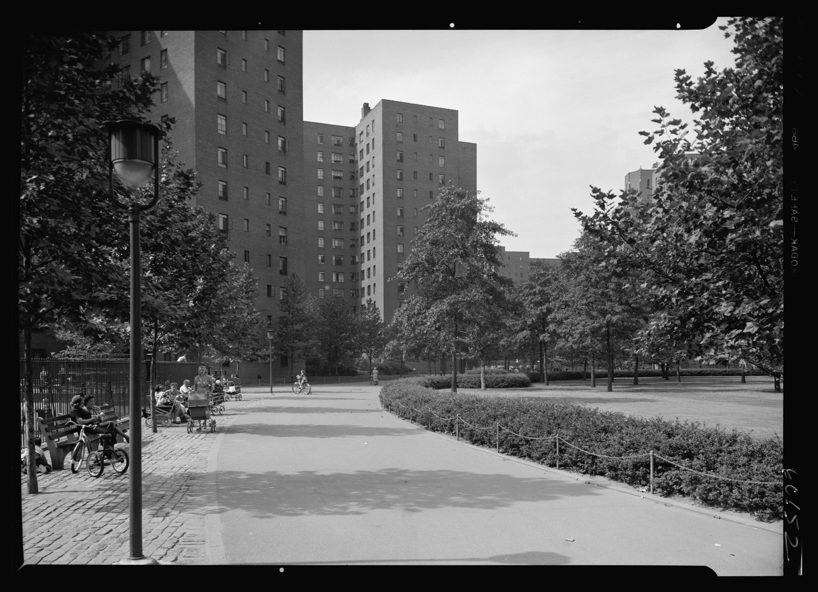 A black-and-white photograph of a tree-lined pedestrian path through Stuyvesant Town with families on benches, children on bicycles, and strollers in the foreground, tall brick apartment towers behind them.
