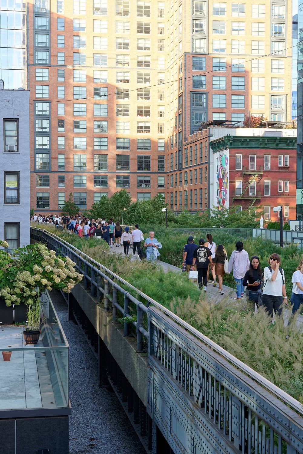 The High Line’s planted walkway receding between buildings, tall grasses and perennials on both sides of the path, glass towers rising close on either hand.