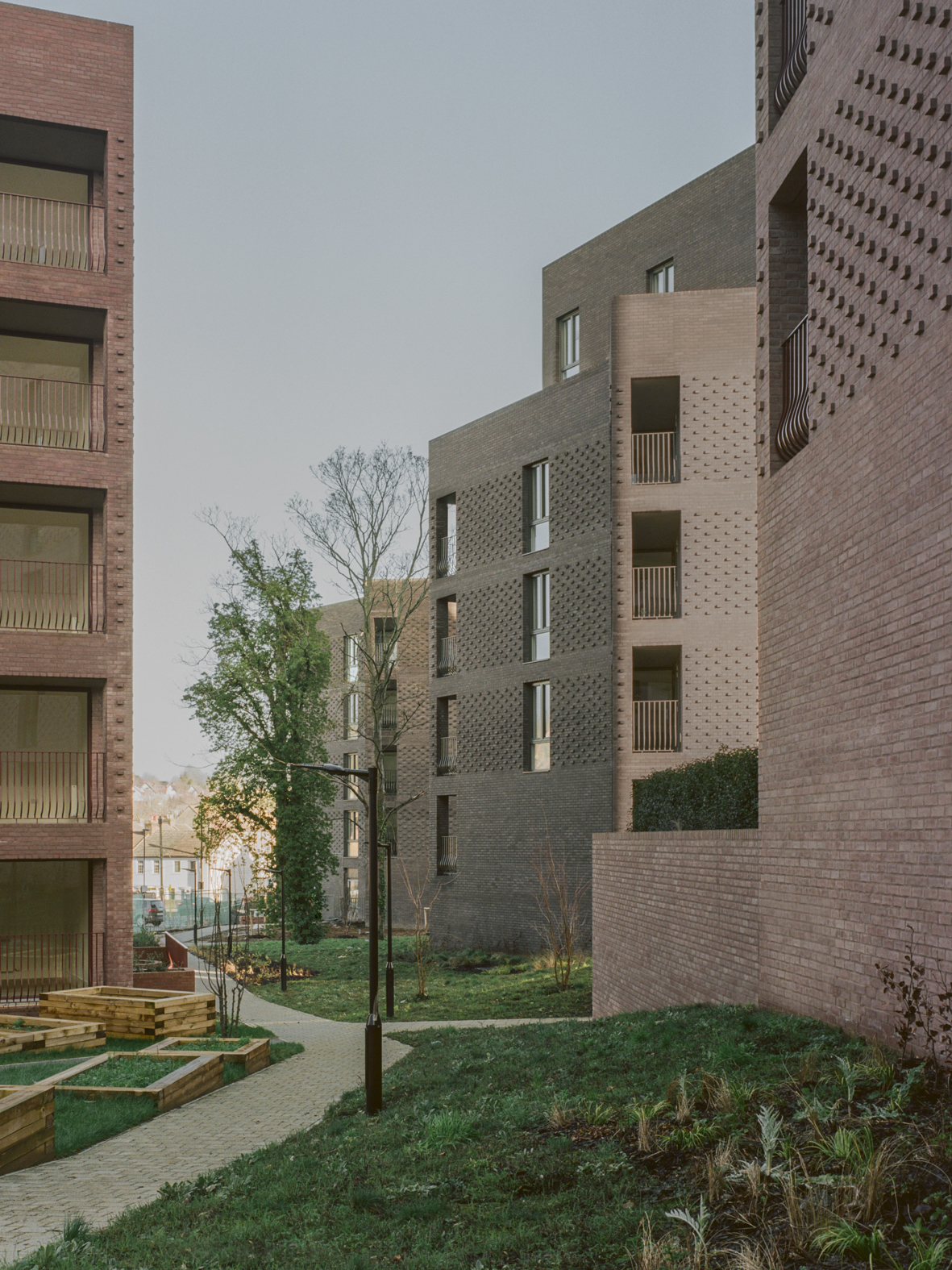 A landscaped path between Lion Green Road’s angular apartment buildings.